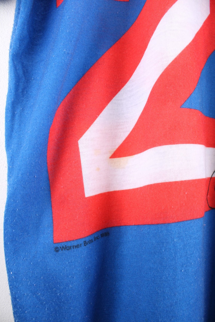 Vintage 1980s Jodie Arden Pyjama shirt in a blue colourway. There is a large graphic printed on the front, with Sylvester and Tweety and the sleeves are sports jersey style with a single stitch hem.