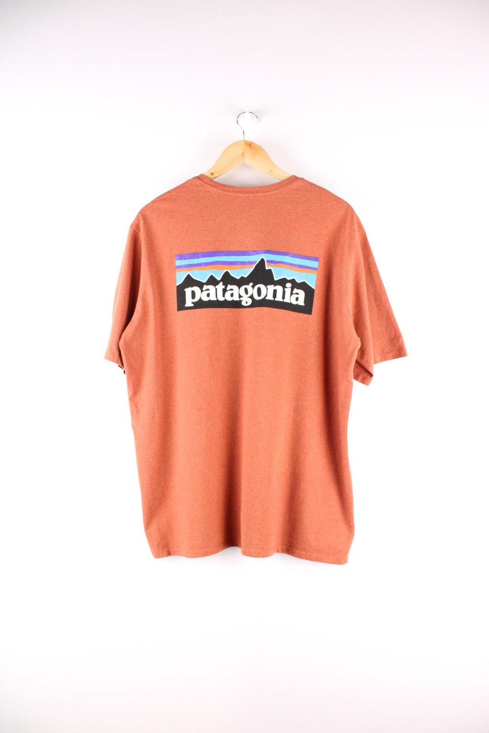 Patagonia t-shirt in burnt orange with a small spellout on the front and large logo on the back.