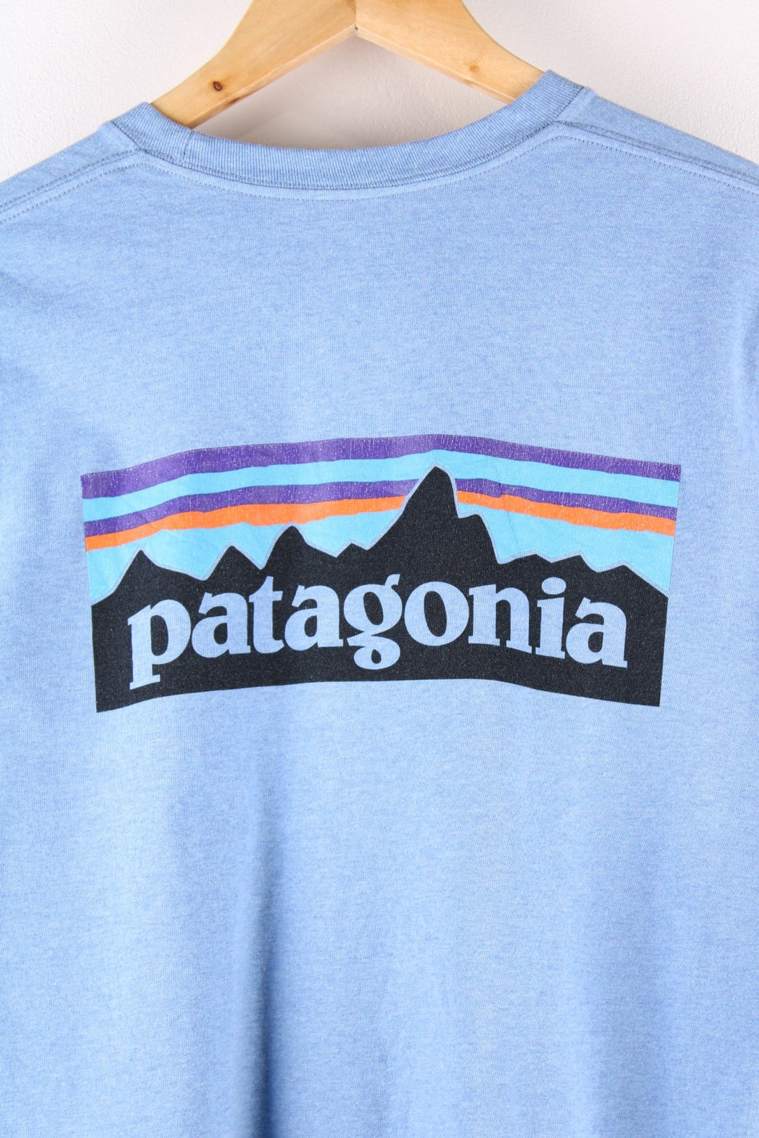 Patagonia long sleeved t-shirt in a blue with a small spellout on the front and a large mountain logo on the back.