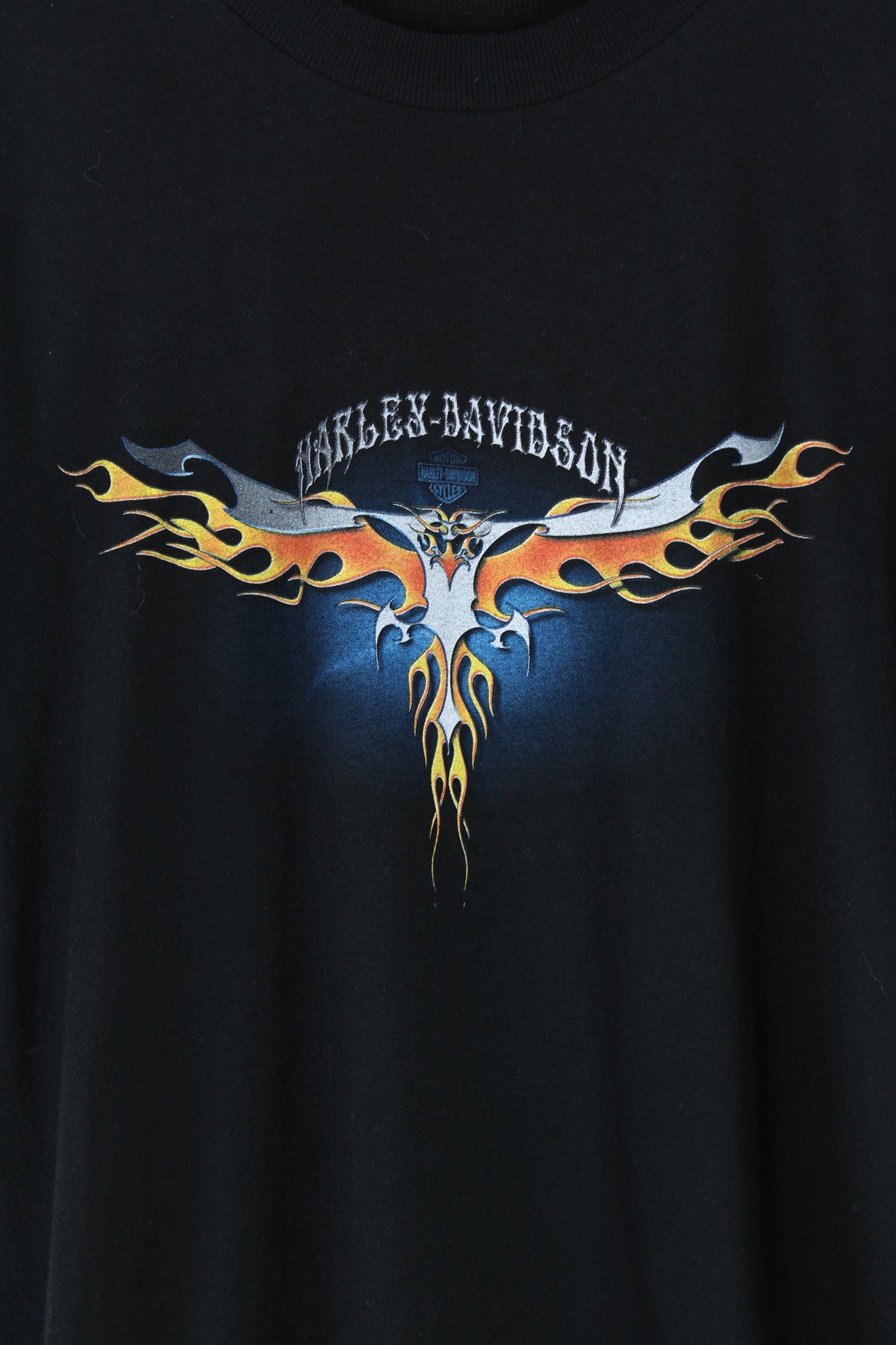 Harley Davidson T-Shirt (Size M) – VintageFolk