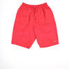 Nike Shorts (Size M)