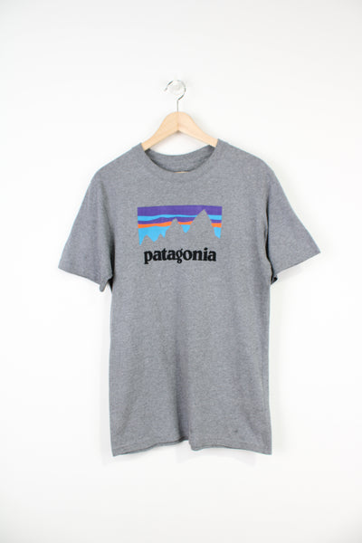 Patagonia grey t-shirt with printed spell-out graphic across the front 