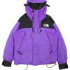 The North Face Gore-Tex Mountain Jacket