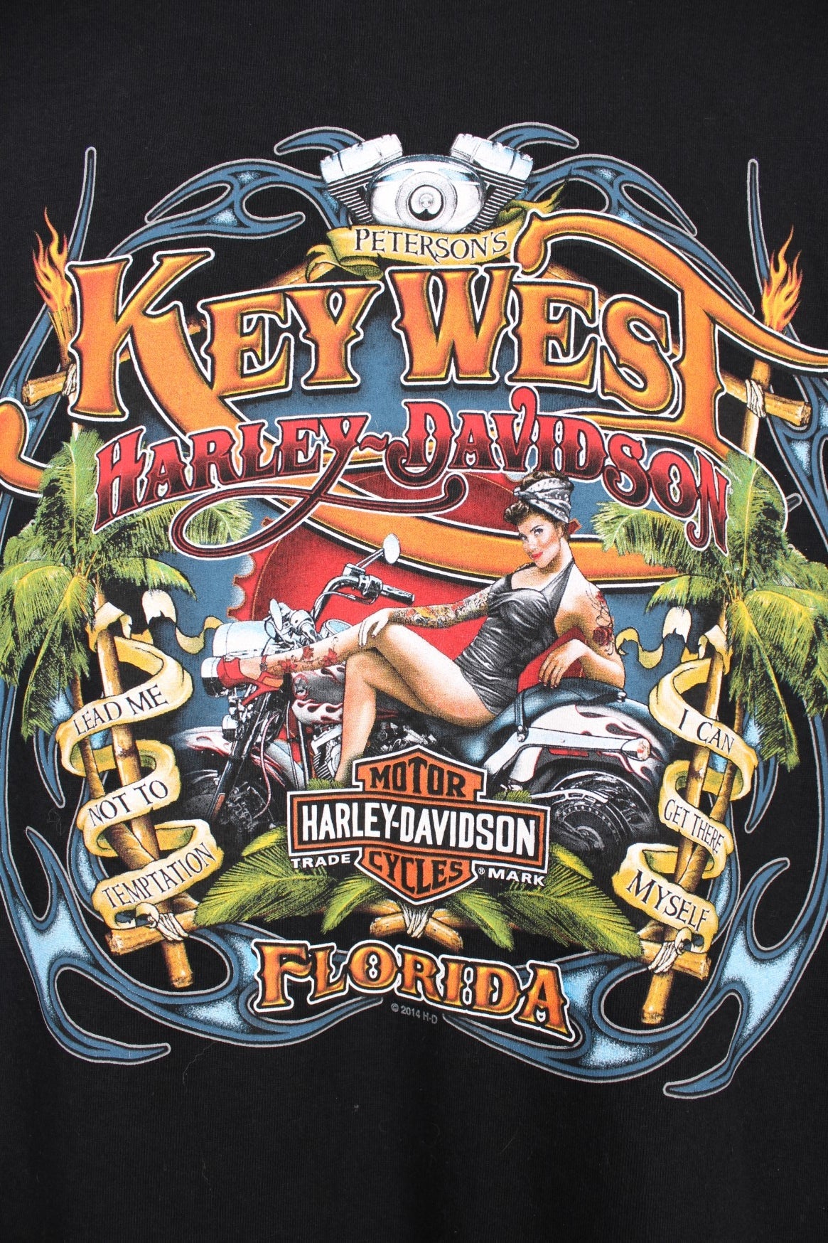 トップス Harley-Davidson t-shirt big logo 2224-GRLF-FRONT_1200x1200.png?