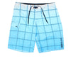 Quicksilver Board Shorts