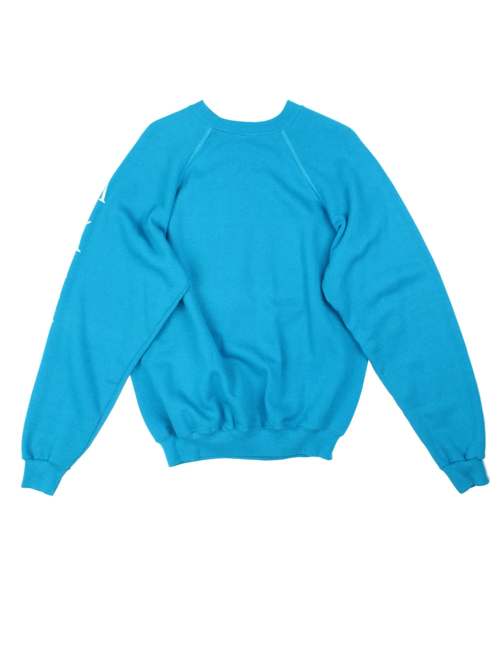 Vintage 1991 Skating Championships Sweatshirt in a blue colourway with the graphic printed on the front.