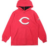 Cincinnati Reds MLB Nike Hoodie (Size S)