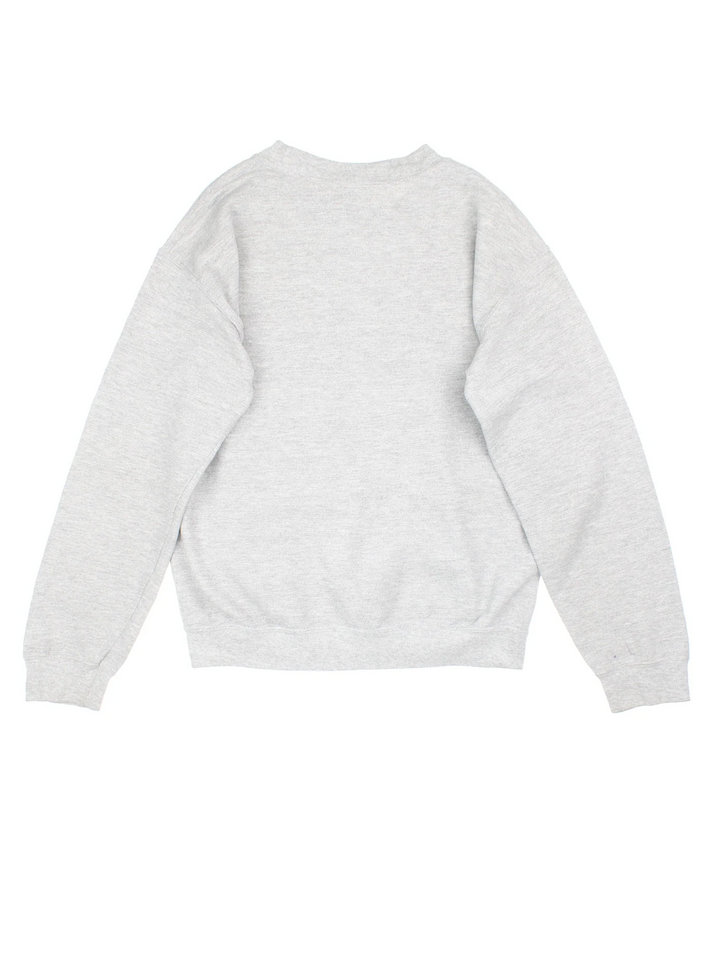 Vintage Michigan State University Sweatshirt in a grey colourway with the logo printed across the front.