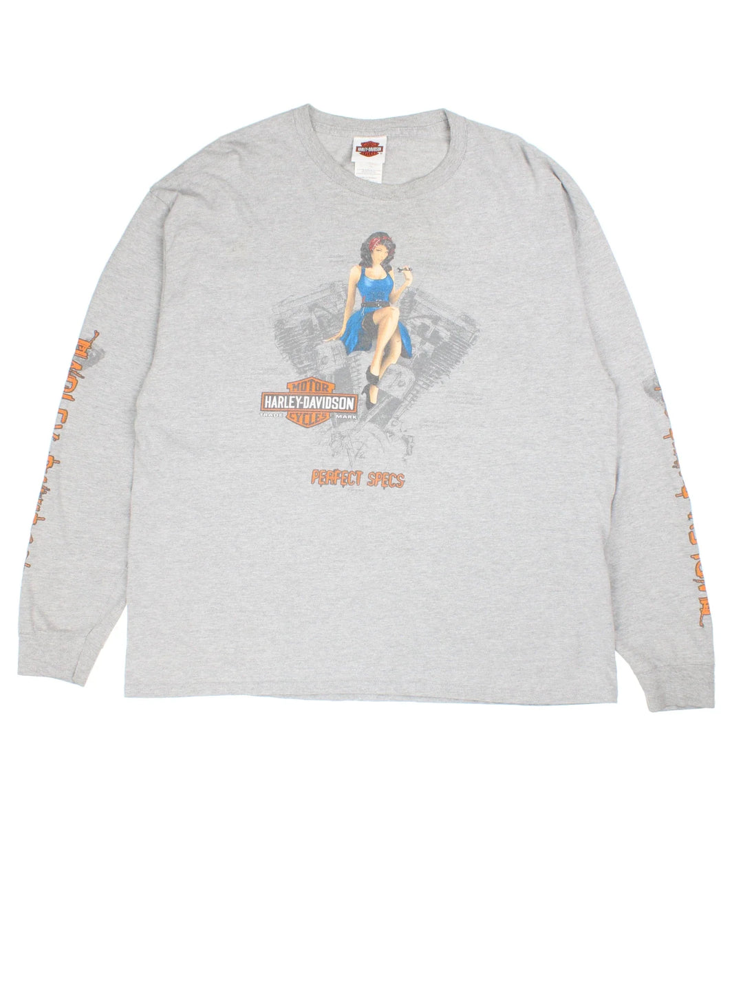 Vintage Harley-Davidson Glacier Long Sleeve Top in a grey colourway with front and back print, as well as spell out down the sleeves.
