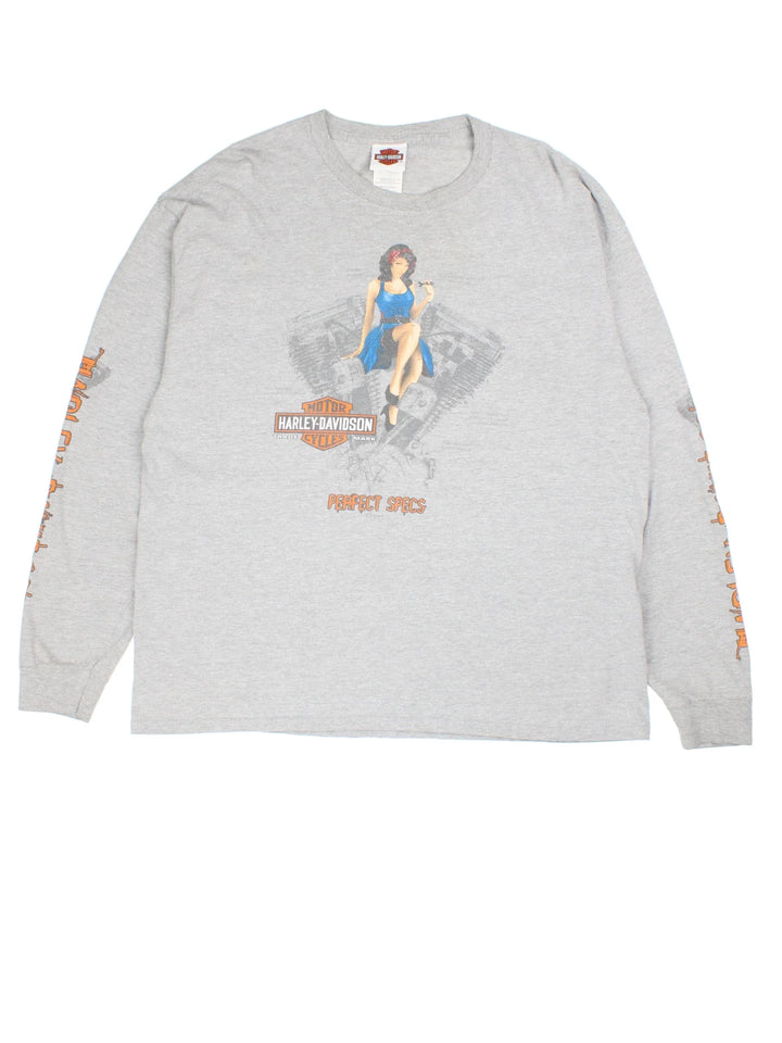 Vintage Harley-Davidson Glacier Long Sleeve Top in a grey colourway with front and back print, as well as spell out down the sleeves.