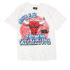 1996 Chicago Bulls NBA Champions T-Shirt (Size XS)