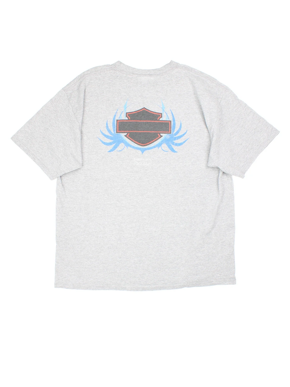 Harley-Davidson T-Shirt in a grey colourway with Classic logo graphic on the front and back.