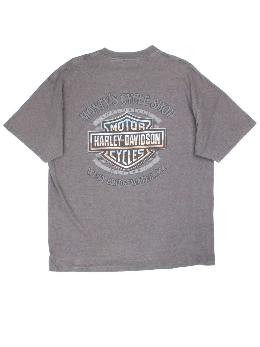 Harley-Davidson T-Shirt in a grey colourway with large graphic on the front and logo graphic on the back.