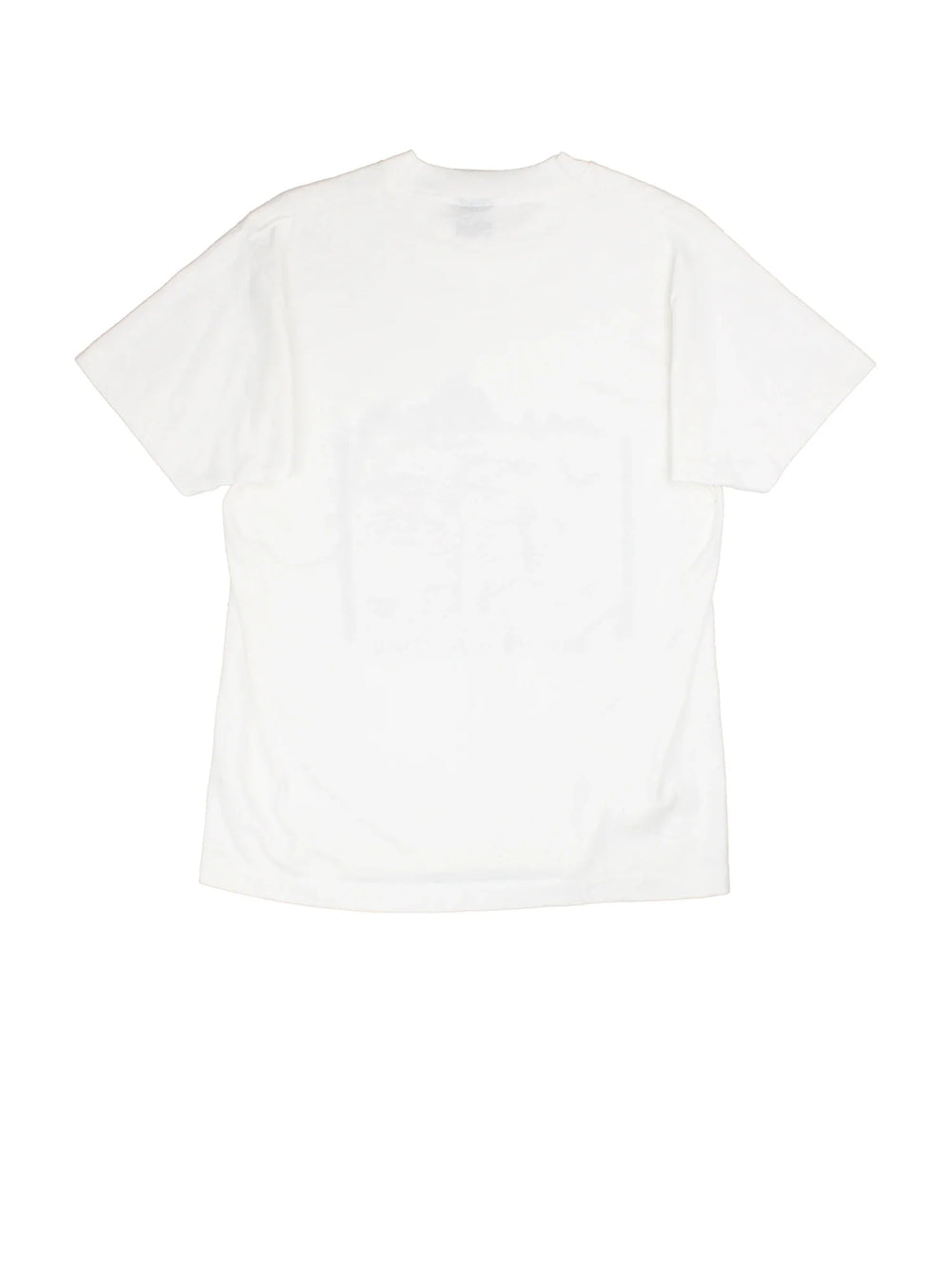Vintage Mount Whitney Graphic T-Shirt in a white colourway with front printed graphic.