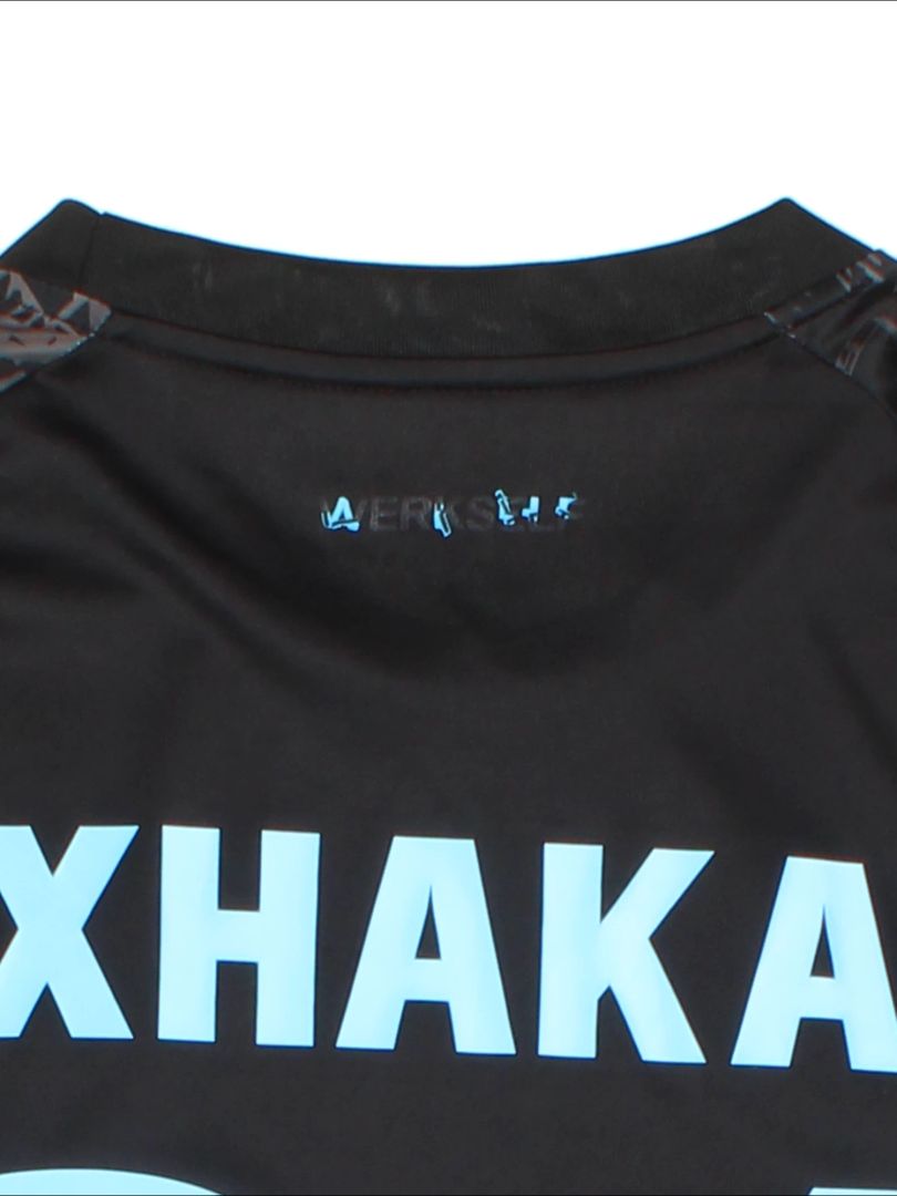 2024-25 Castore Bayer Leverkusen Replica Third Kit Football Shirt  (Size L)