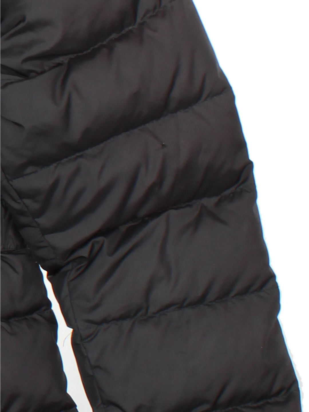 The North Face Gotham Down Jacket (Size L)