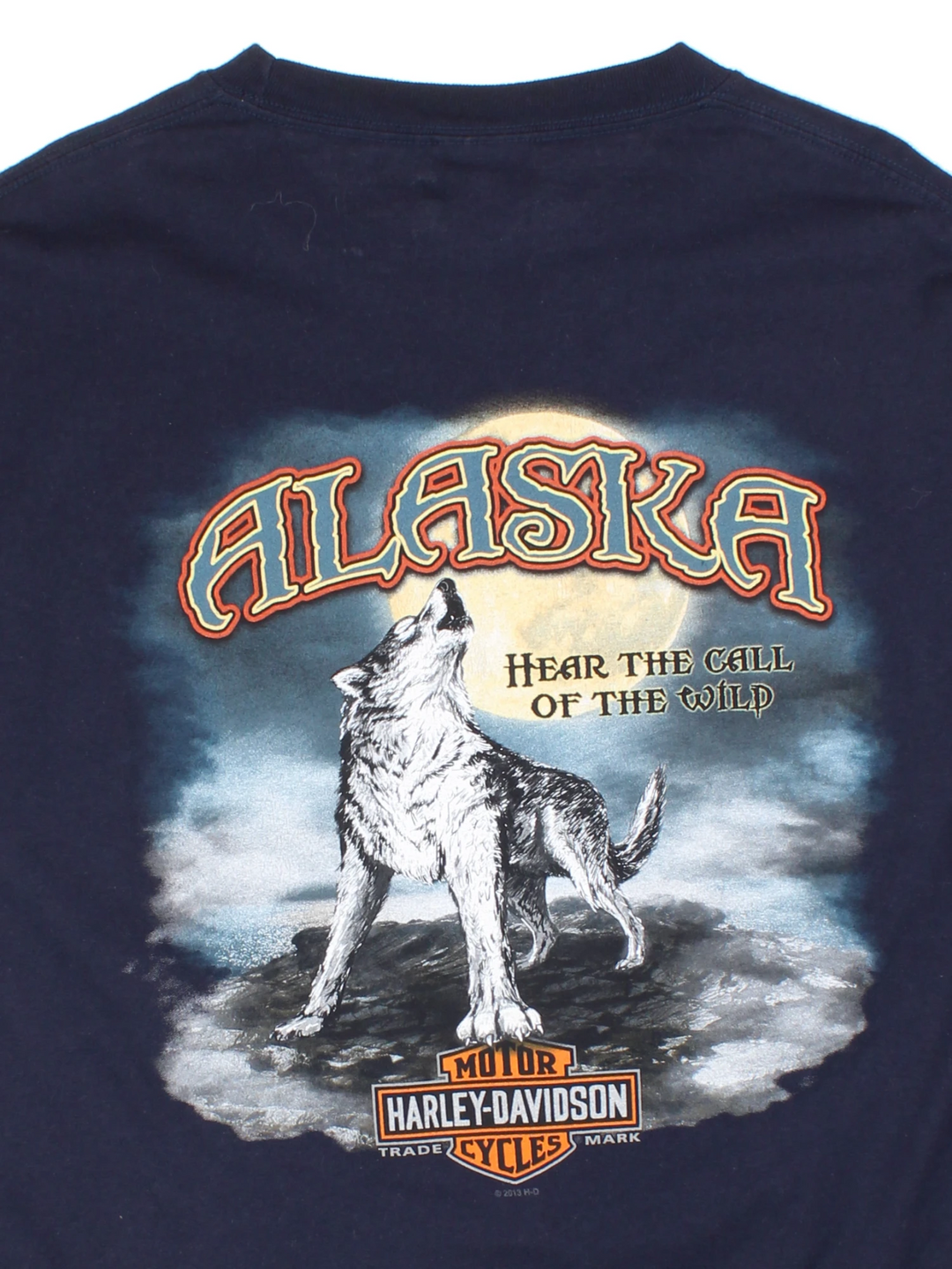 Harley-Davidson Alaska T-shirt (Size M)