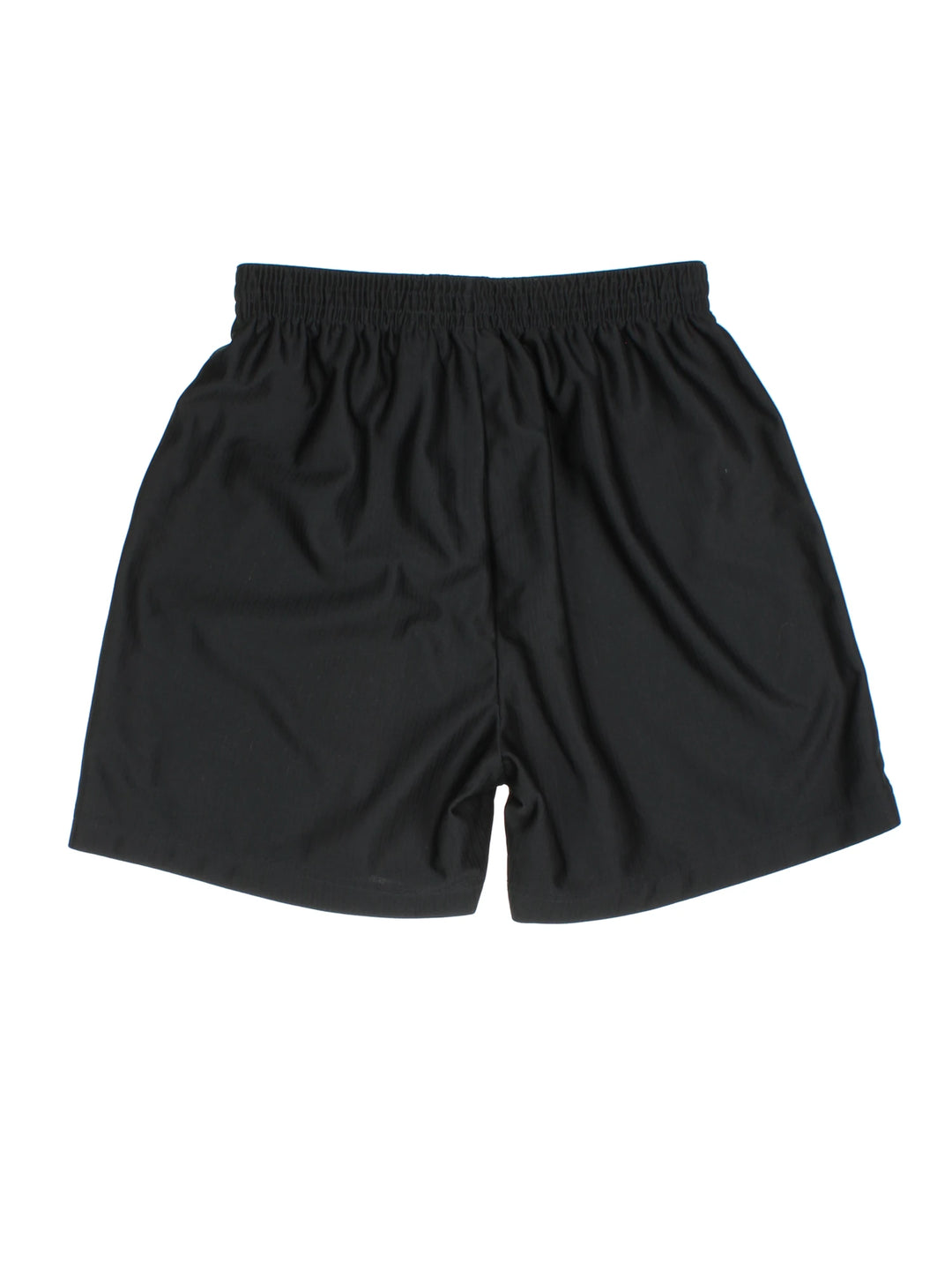Nike Dry Fit Shorts (Size XS)