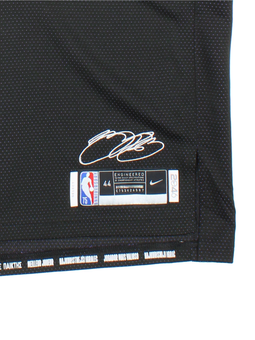 Nike LA Lakers LeBron James NBA Jersey (Size M)