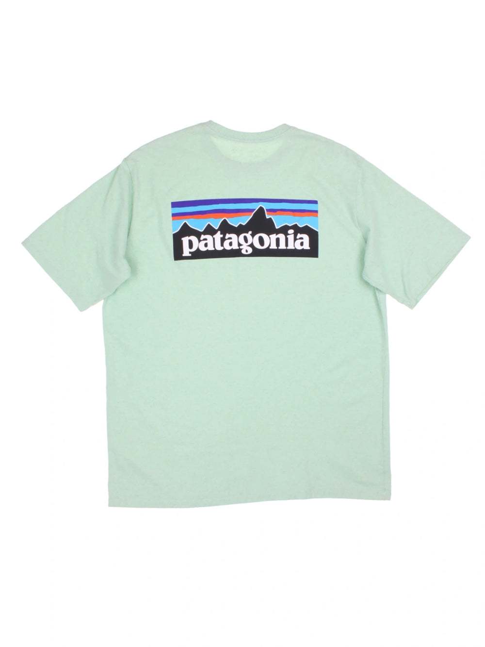 Patagonia T-Shirt (Size L) - VintageFolk