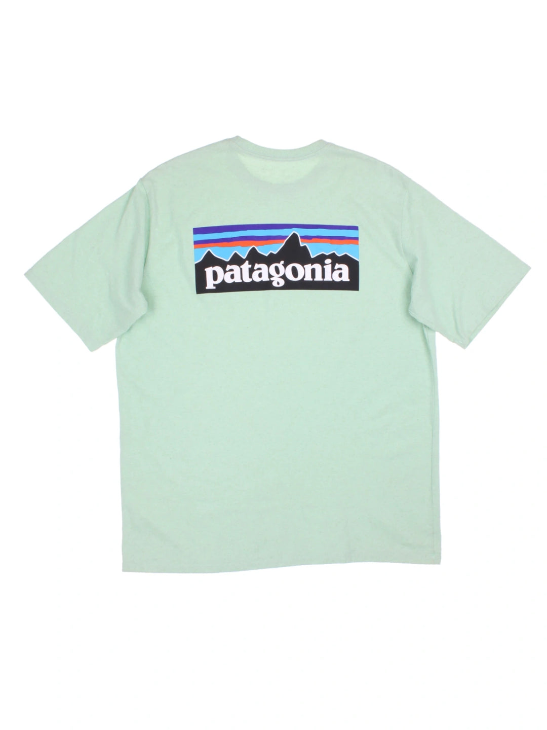 Patagonia T-Shirt (Size L) - VintageFolk