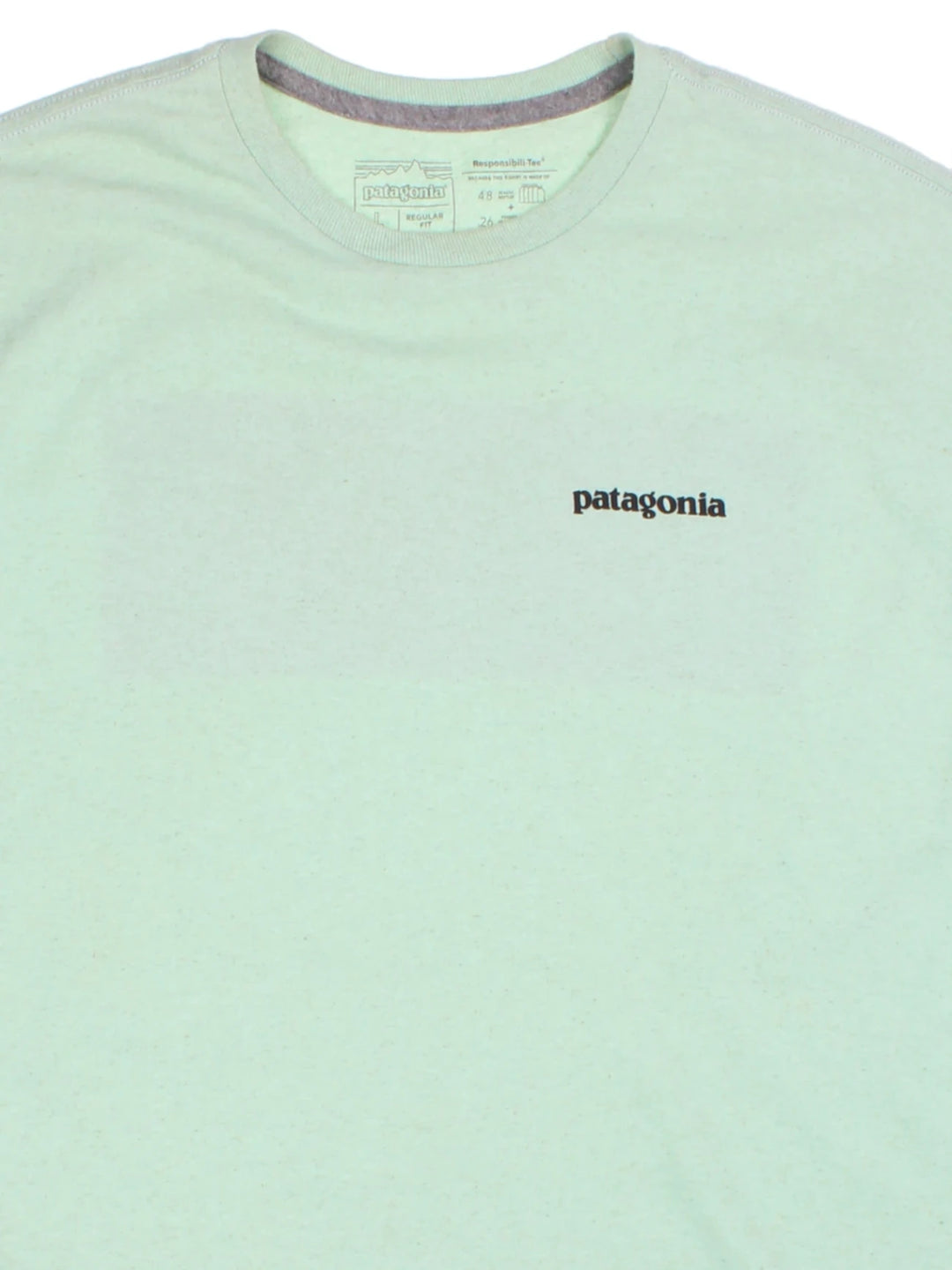 Patagonia T-Shirt (Size L) - VintageFolk