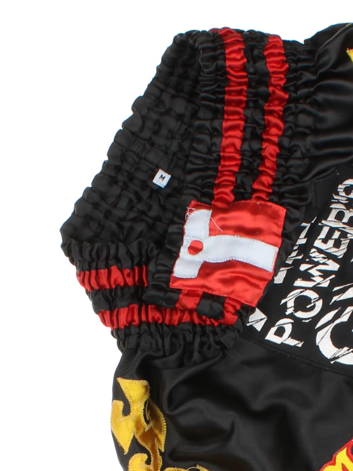 Tanko Muay Thai Shorts (Size M)