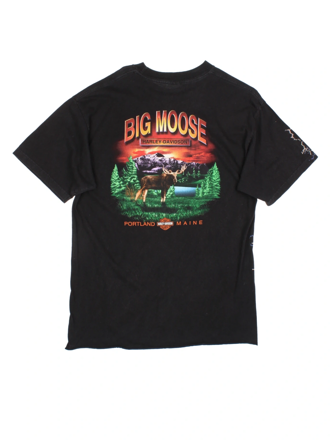 Harley-Davidson T-Shirt (Size L)