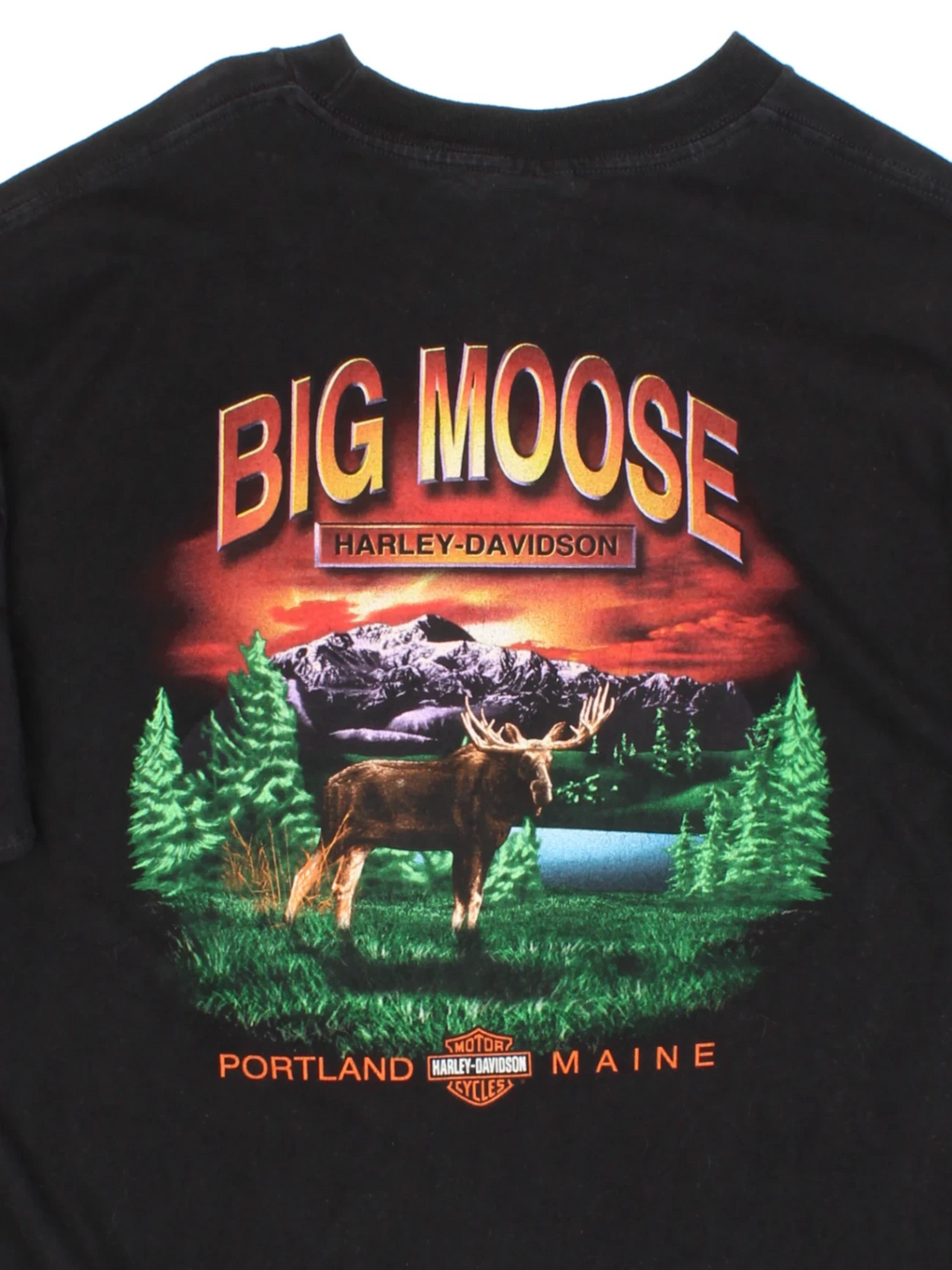 Harley-Davidson T-Shirt (Size L)