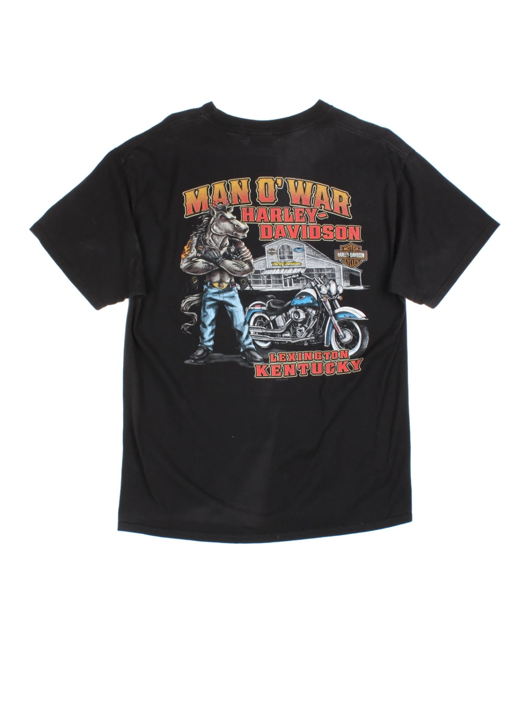 2015 Harley Davidson Lexington Kentucky T-Shirt (Size M)