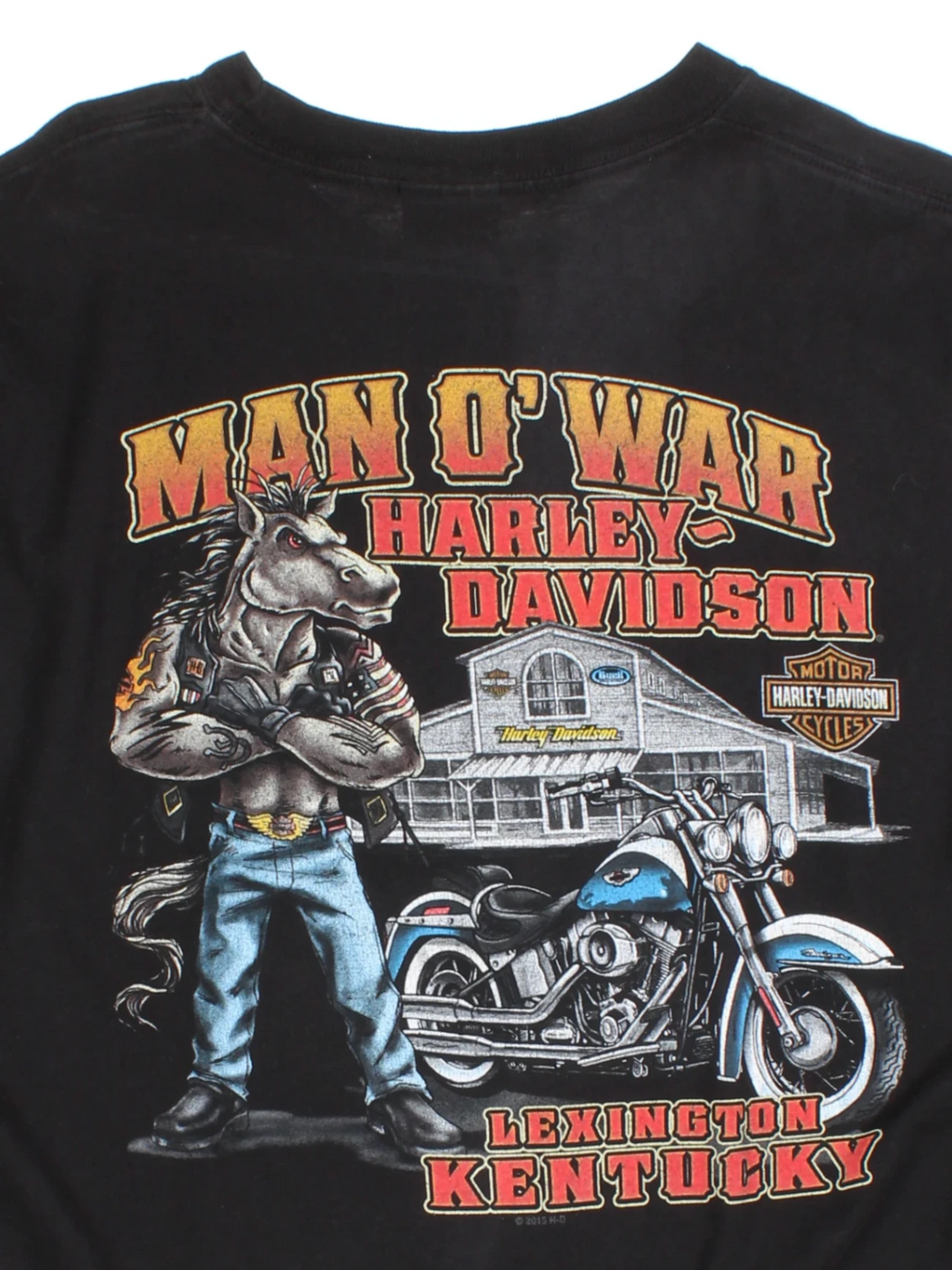 2015 Harley Davidson Lexington Kentucky T-Shirt (Size M)