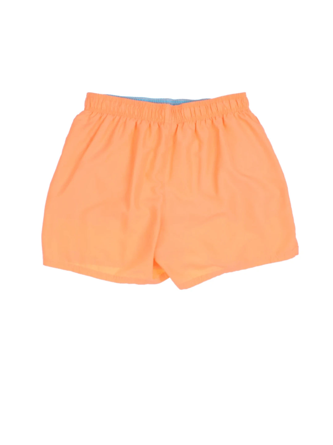 00's Nike Shorts (Size L)