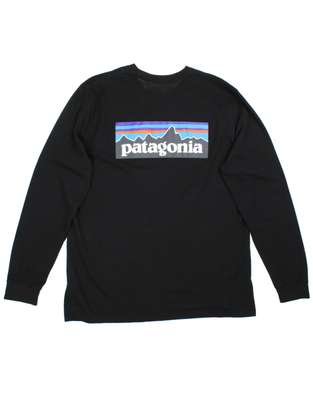 Patagonia Long Sleeved Top (Size XL) - VintageFolk