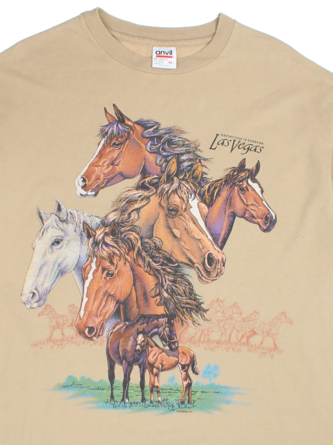 90's Las Vegas Wild Horse T-Shirt (Size L)