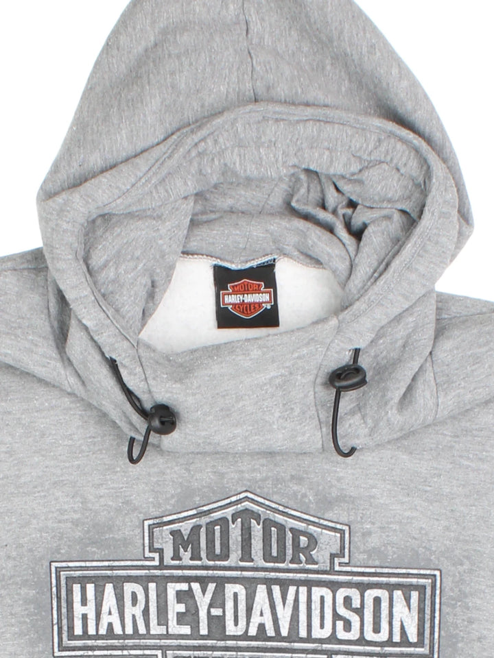 Harley-Davidson Smoky Mountain Hoodie (Size L)