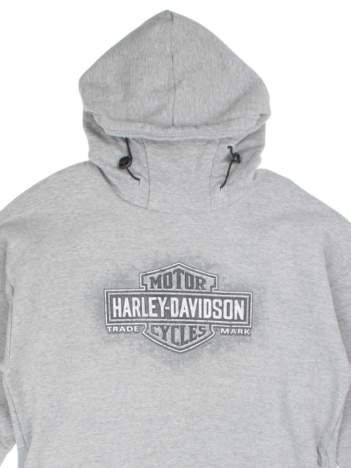 Harley-Davidson Smoky Mountain Hoodie (Size L)