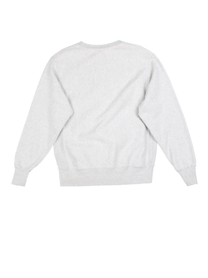 Champion NASA Sweatshirt (Size M)