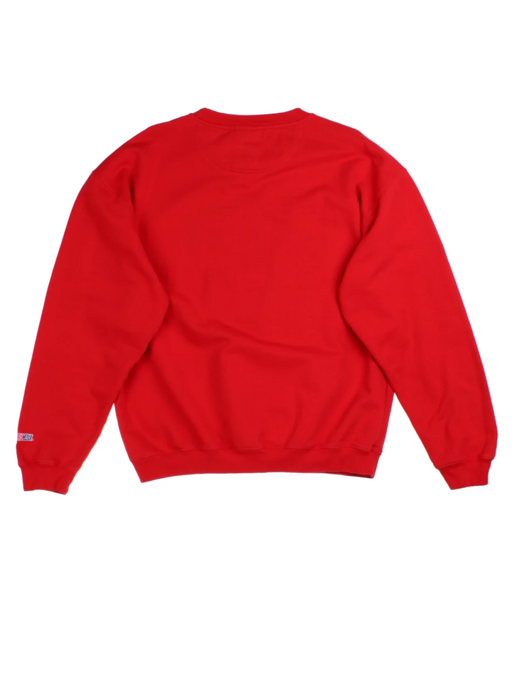 Vintage Daytona 500 Sweatshirt (Size L)