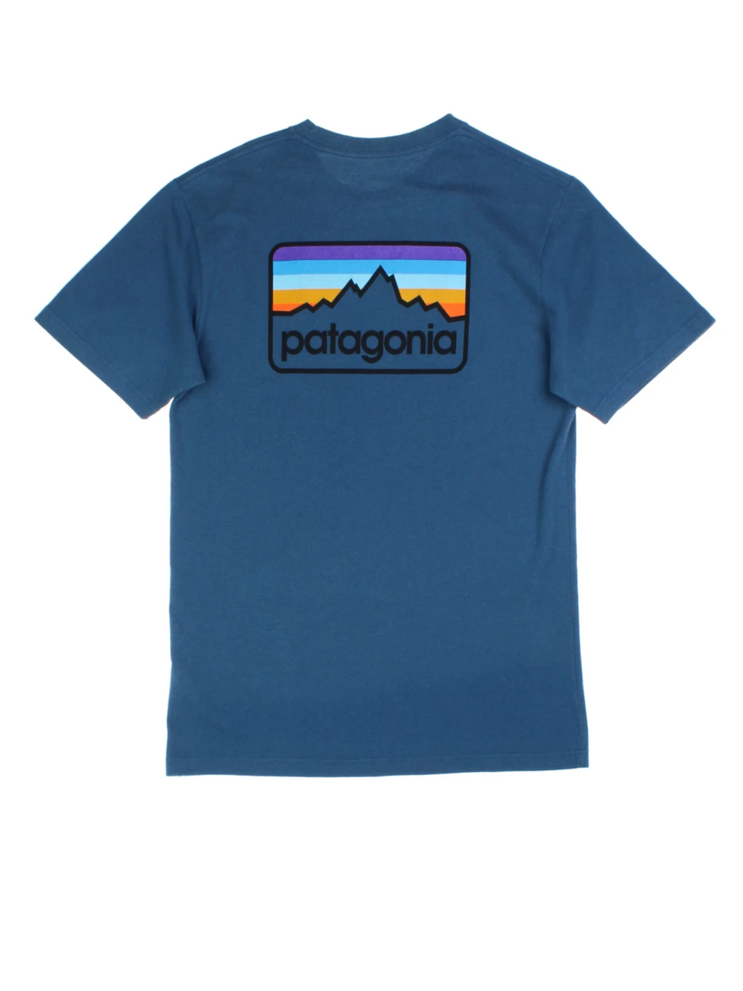 Patagonia Graphic T-Shirt (Size S)