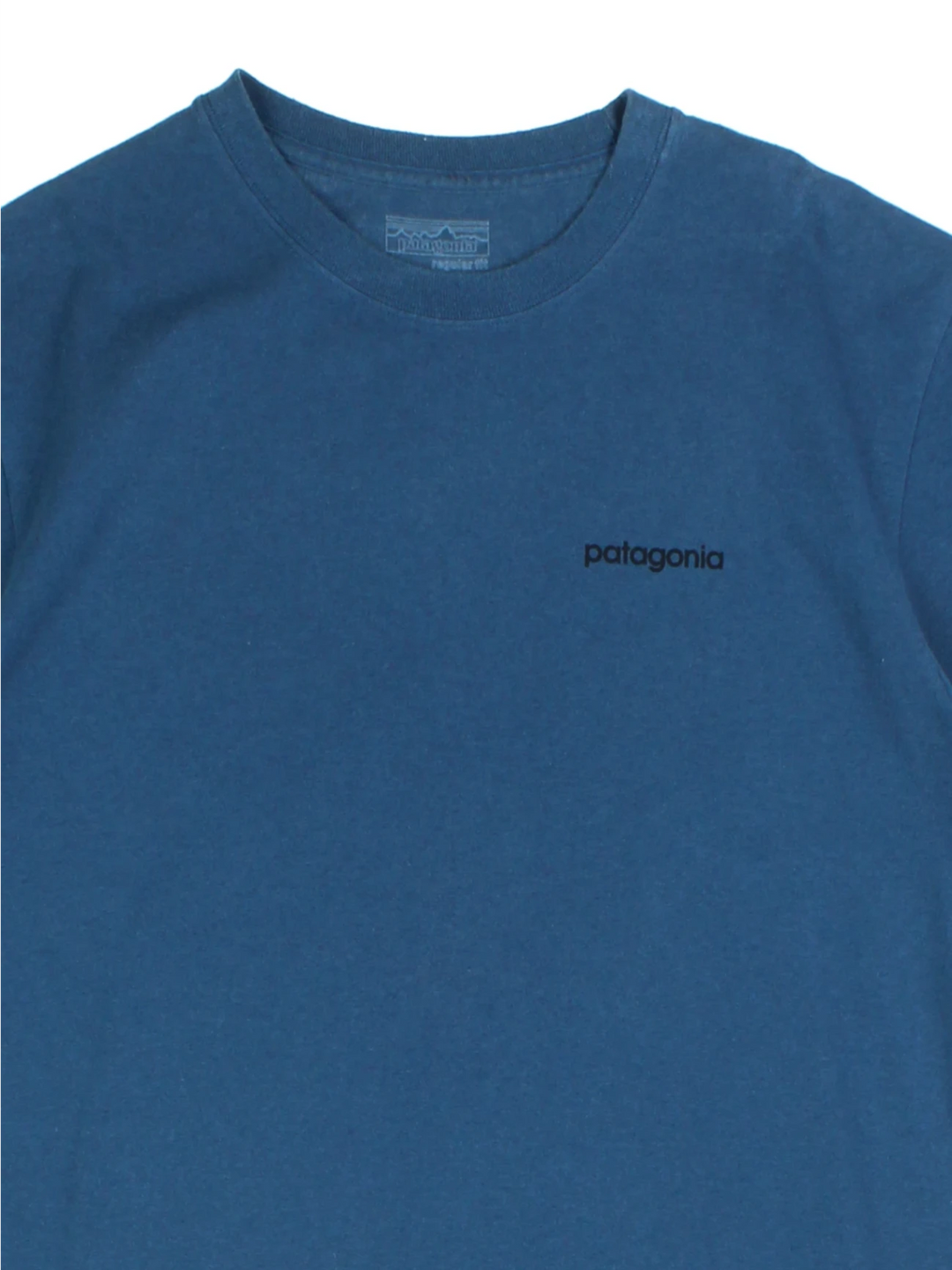 Patagonia Graphic T-Shirt (Size S)