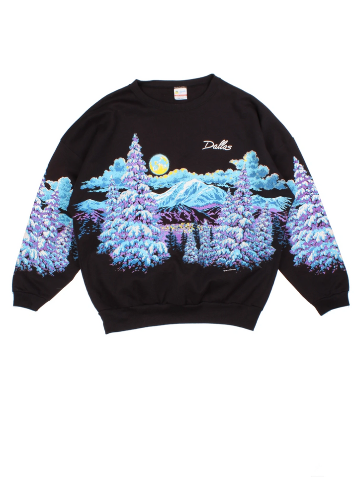 Dallas Winter Graphic Sweatshirt (Size XL)