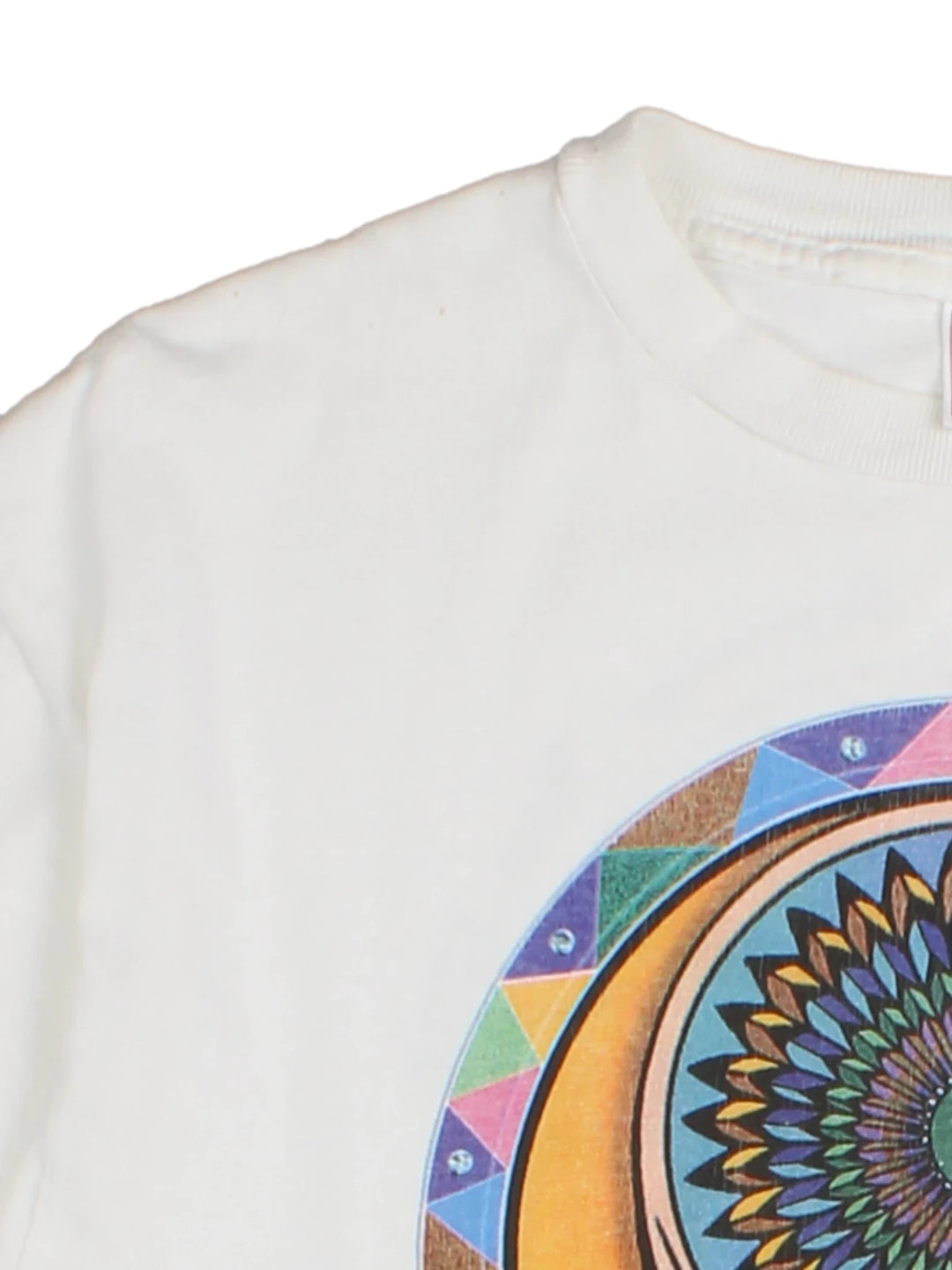 95 Peter Forsythe Grateful Dead Spring Tour T-Shirt (Size L)