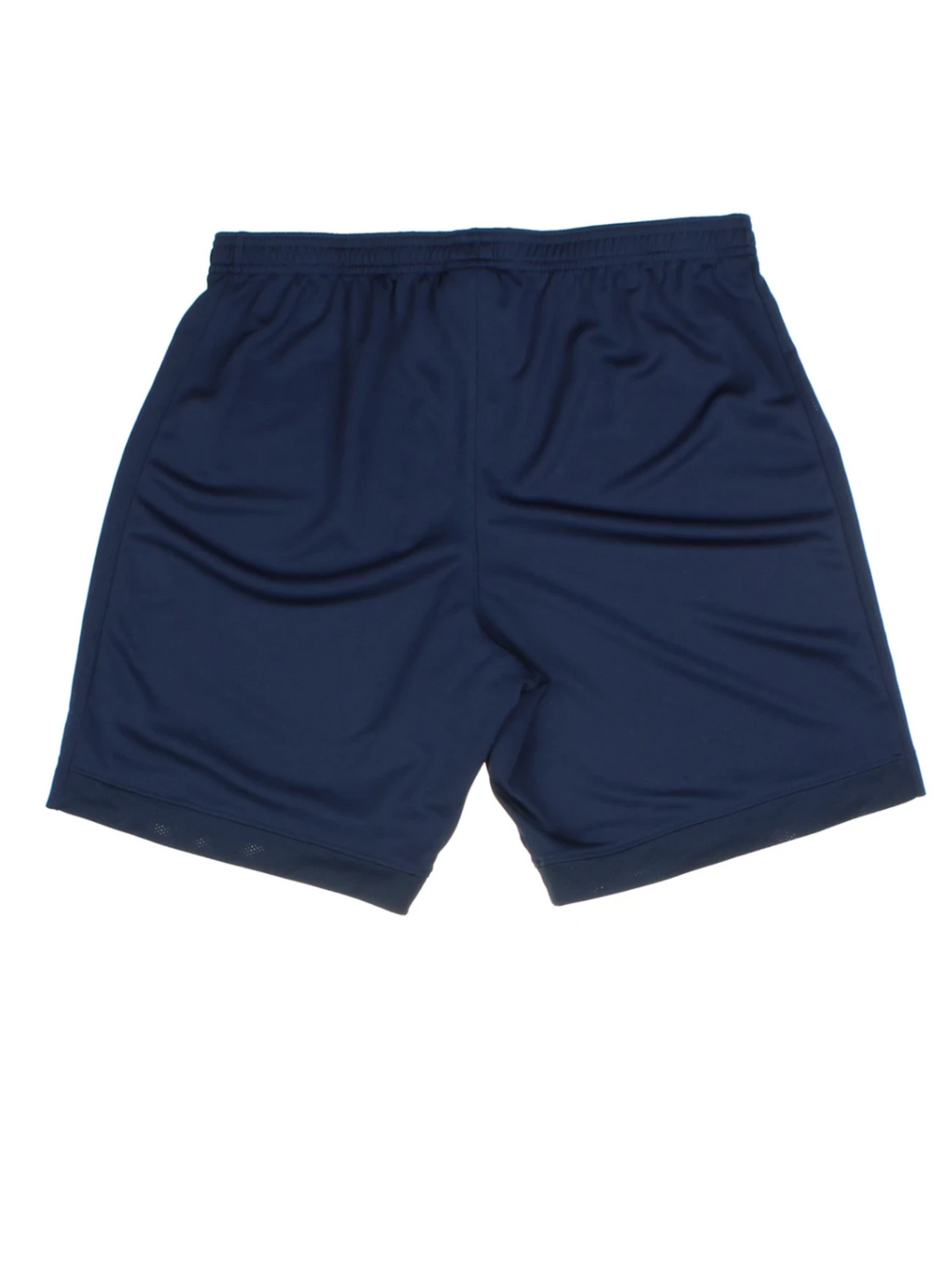 00's Nike Sports Shorts (Size L)